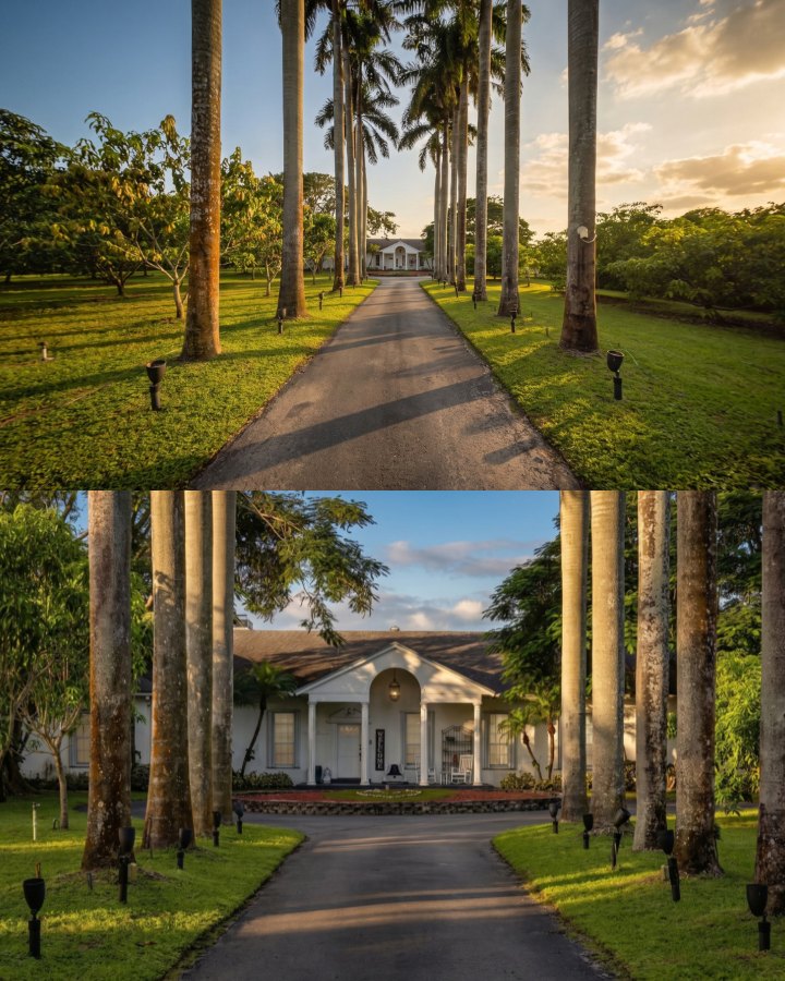 Redlands yoga retreat · the drive